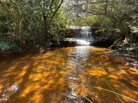 Cachoeira das Orquídeas